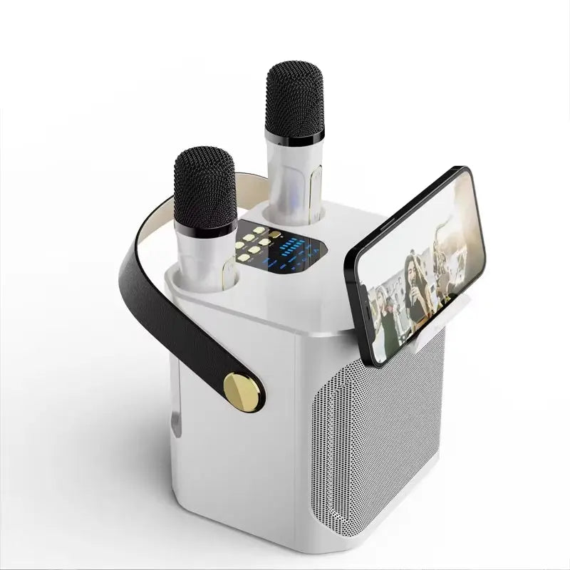 Professional Portable Karaoke Bluetooth Speaker with Dual Microphones (360° Stereo Sound & Waterproof)
