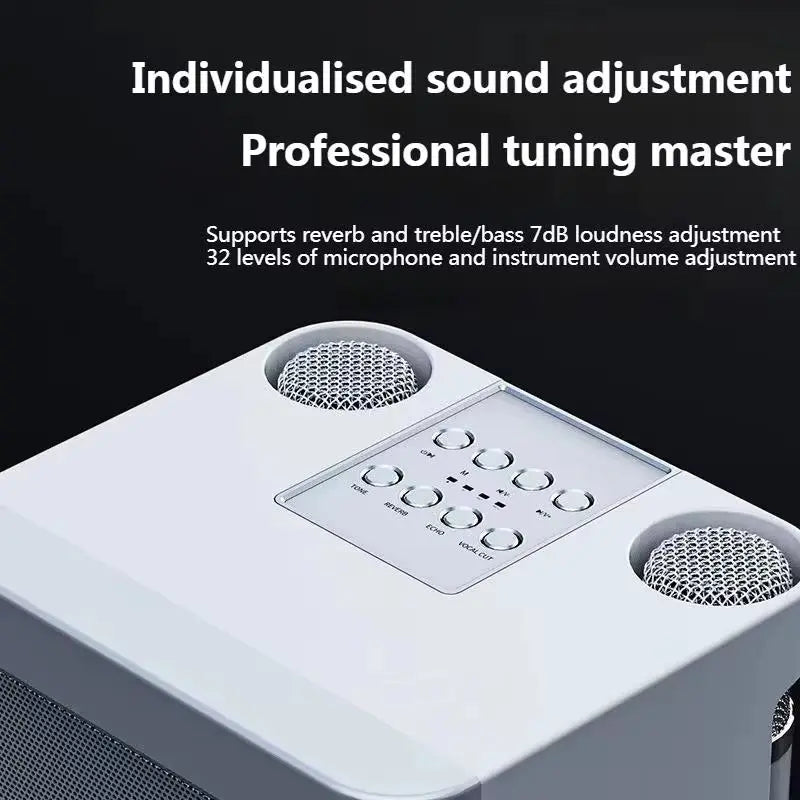 Portable Wireless Dual Microphone Bluetooth Speaker with Subwoofer (High Performance 10Watt)