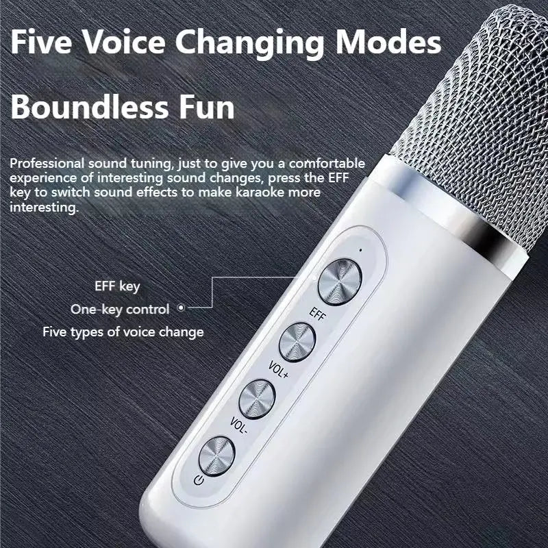 Portable Wireless Dual Microphone Bluetooth Speaker with Subwoofer (High Performance 10Watt)